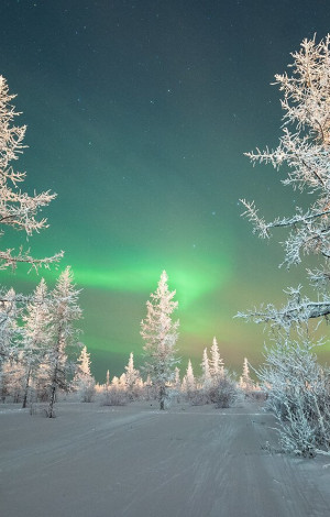 Тур «Новогодний круиз. Улётные ёлки 1» - фото - 15